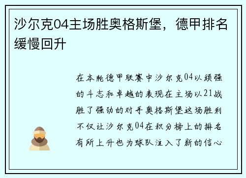 沙尔克04主场胜奥格斯堡，德甲排名缓慢回升